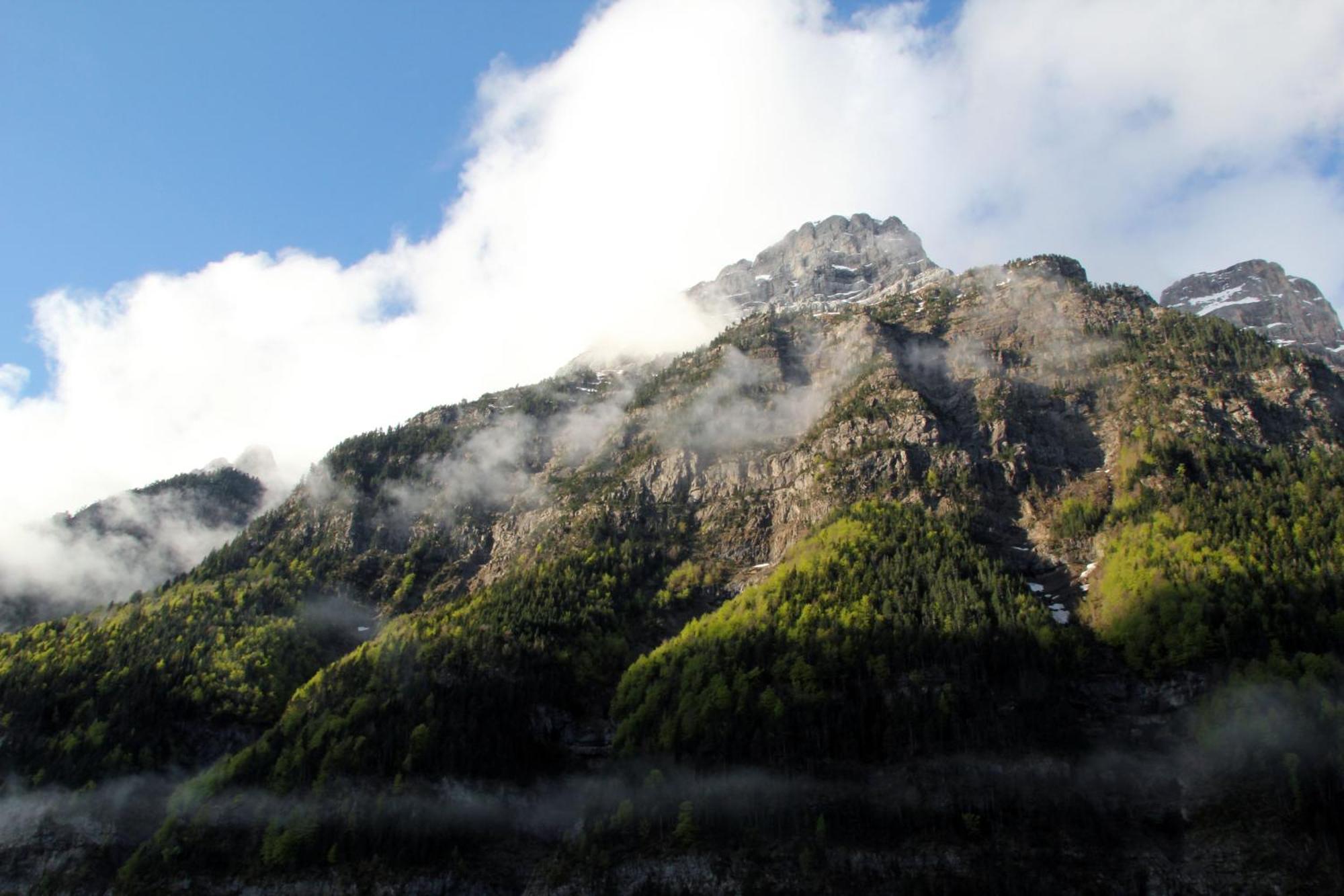 Отель Camping Pineta Бьельса Экстерьер фото